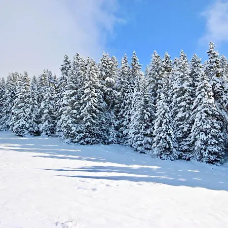 4 Pers. Au Pied Des Pistes A Apartamento Chamrousse